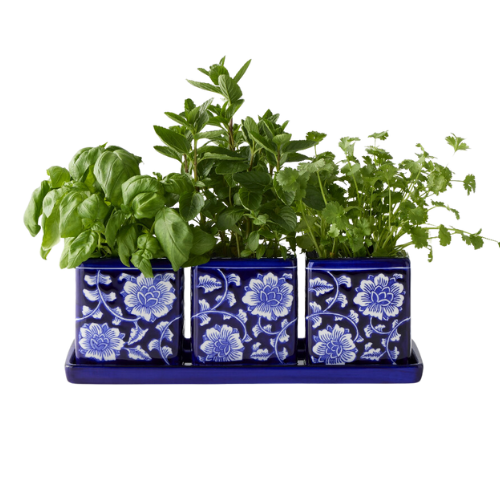 ceramic herb tray