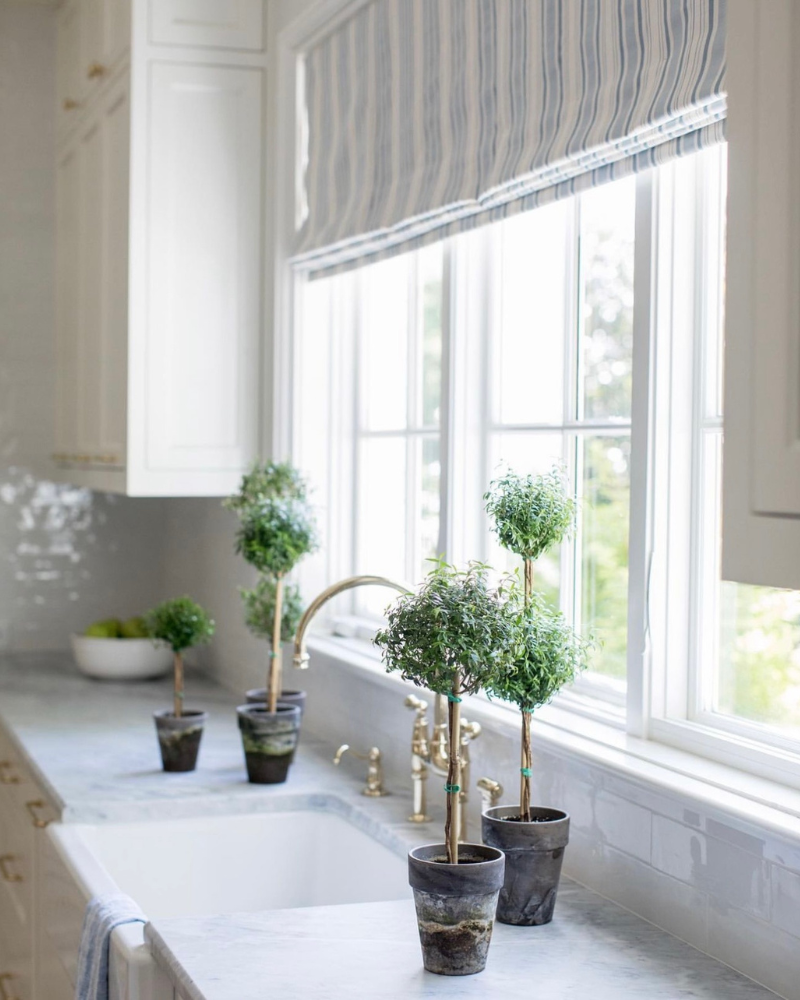 indoor potted topiaries on a classic kitchen counter