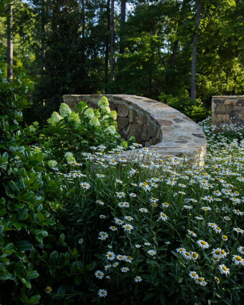 2025 gardening tips and trends, classic landscape design