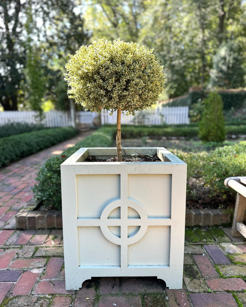 kate morrison's classic concord north carolina home